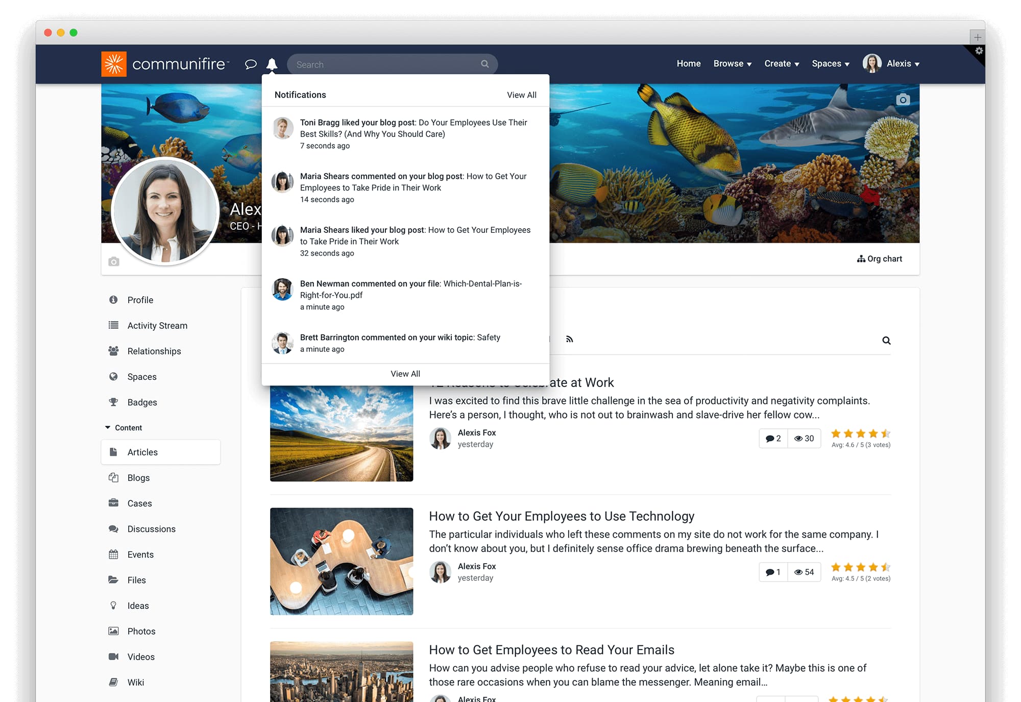 intranet features - notifications