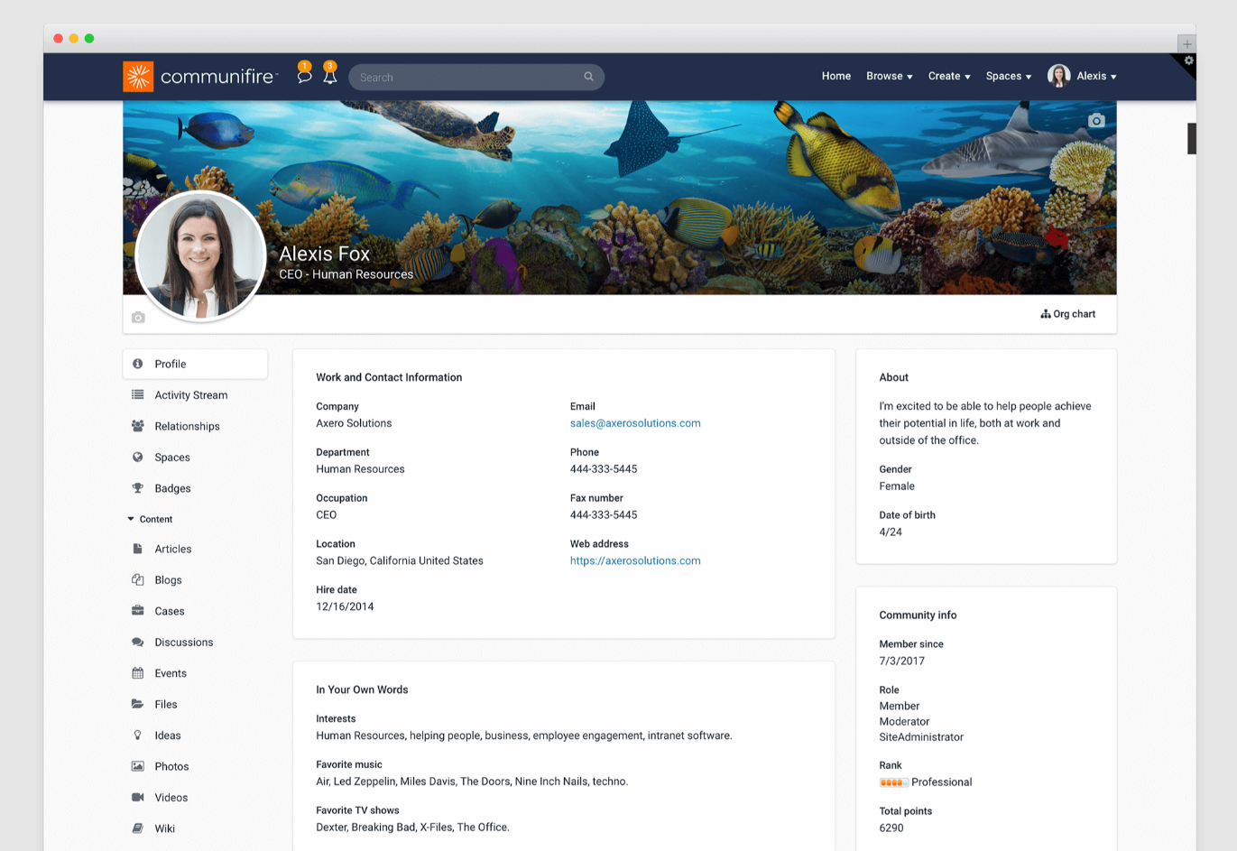 internal communication tools - employee profiles