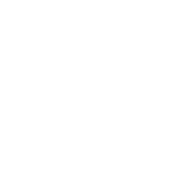 Left Arrow icon